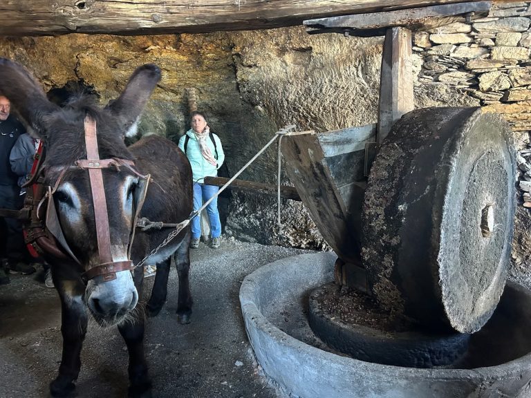 Quiroga eleva o nivel da súa ‘Mostra do Aceite’ cun congreso e chefs como Javier Olleros, con 2 estrelas Michelín