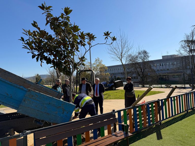 Monforte planta novas árbores no Parque do Hospital