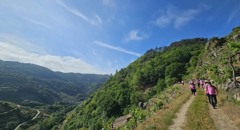 Medio milleiro de persoas camiñaron contra o cancro polas ribeiras de Chantada