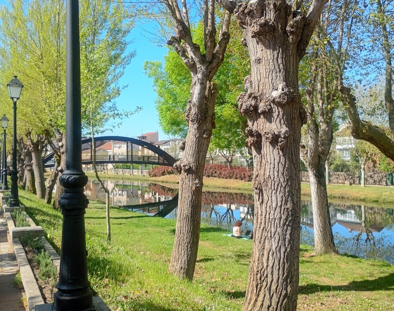 A FEARS presenta alegacións contra a nova ponte no Malecón de Monforte e denuncia afeccións patrimoniais na Ribeira Sacra