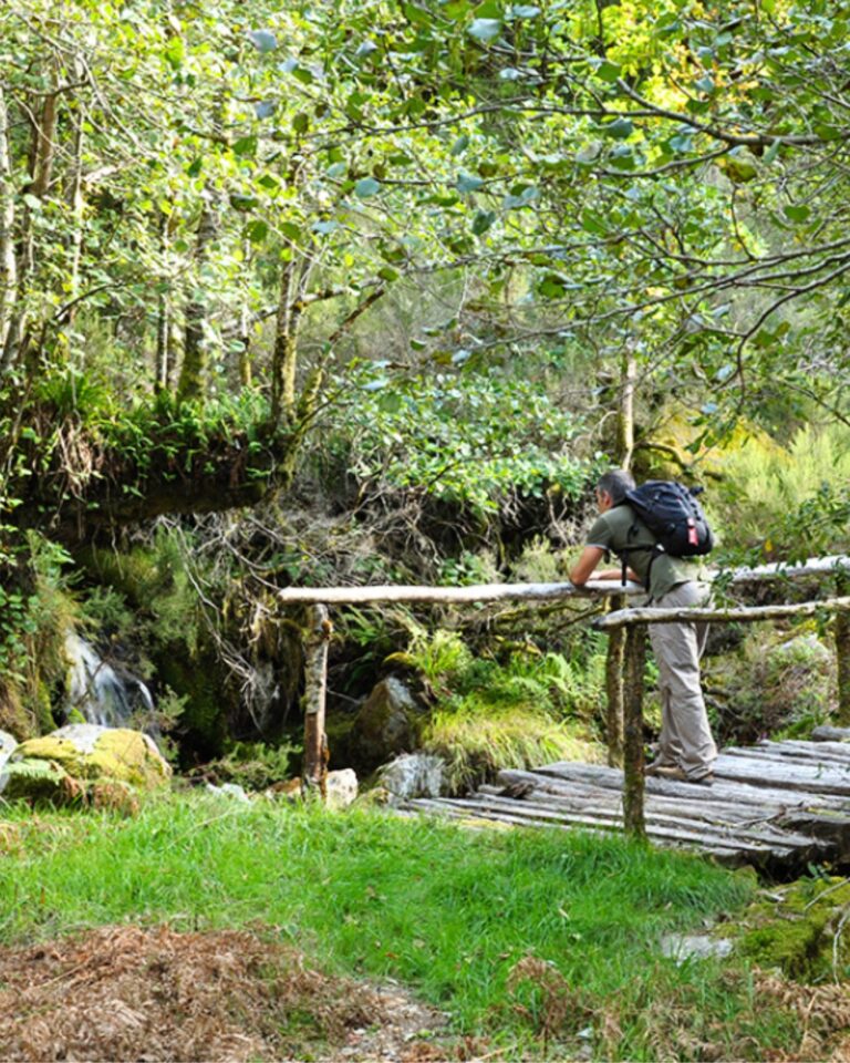 Laboratorio de Experiencias, nova proposta do Consorcio de Turismo da Ribeira Sacra que se celebra ata finais de xuño