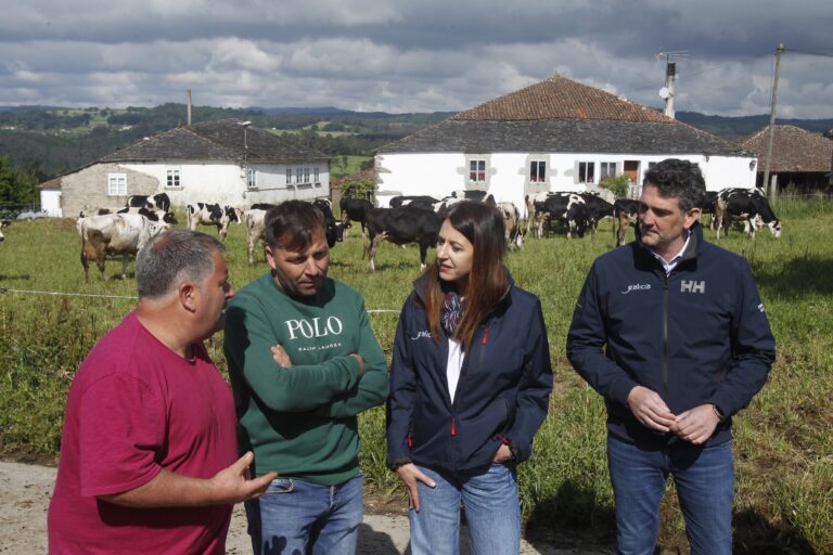 A conselleira de Medio rural pon en valor o operativo de rescate das vacas que se precipitaron por un barranco en Taboada