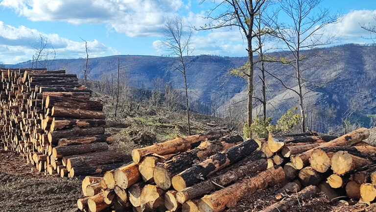 Os madeireiros rehabilitarán a estrada provincial LU-P-4707 que danaron na Pobra do Brollón despois do incendio do 2022