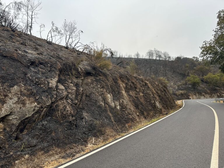 Extinguido desde este sábado o incendio de Taboada