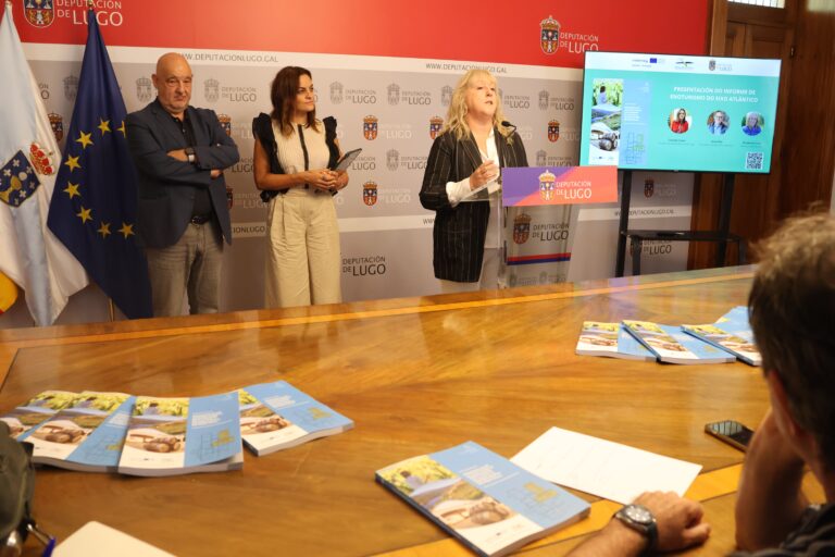 Propostas para mellorar o enoturismo na Ribeira Sacra: redistribución de actividades, ferramentas dixitais e formación do sector
